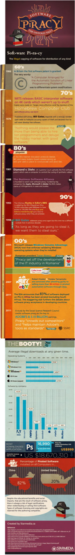 The untold story of software piracy infographic